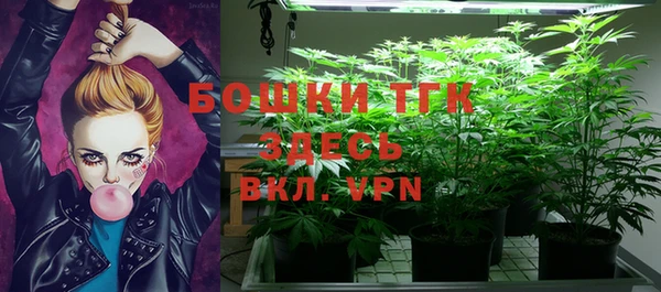 PSILOCYBIN Солнечногорск
