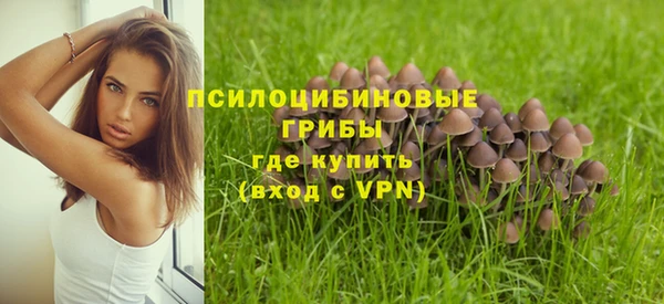 2c-b Абинск