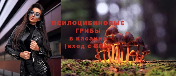 а пвп мука Абаза